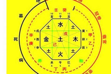 八字喜用色|【八字顏色喜忌】八字解析：找出你的幸運色，趨吉避。